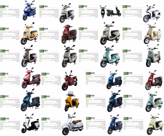 Moto électrique pas cher adulte moto électrique Scooter 200kg charge Scooter moto électrique moto adulte